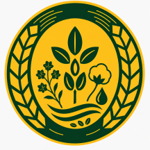 Semințe plante tehnice